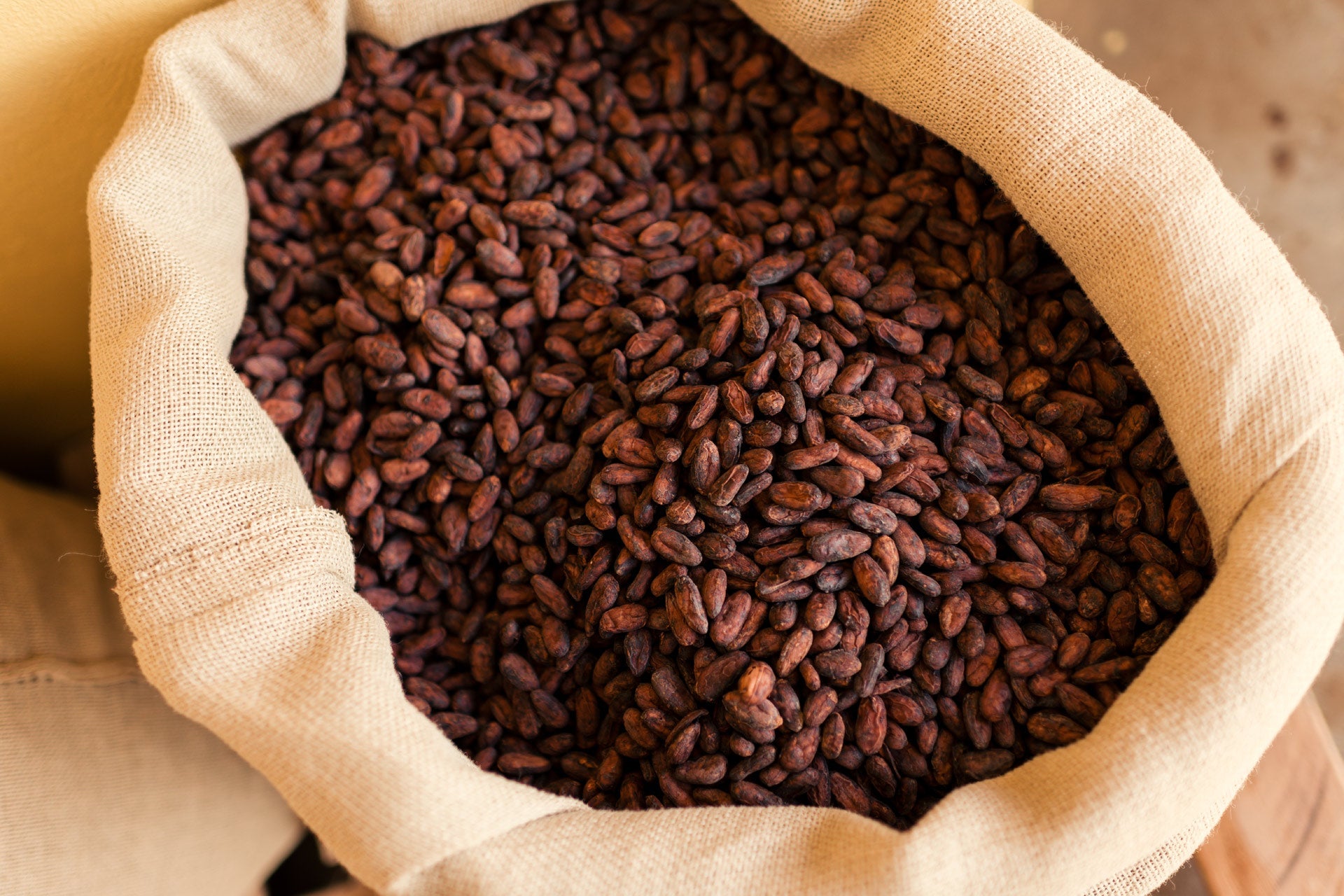 Bean-to-bar é a essência do que somos
