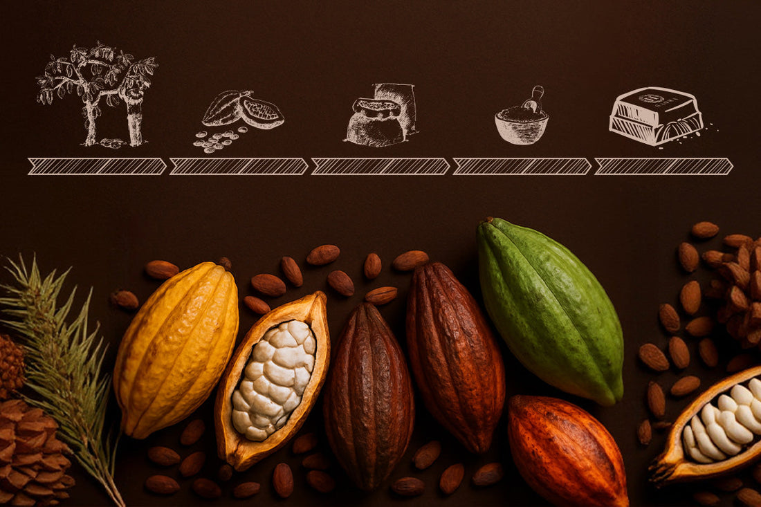 Chocolate Bean to Bar: experimente o verdadeiro sabor premium